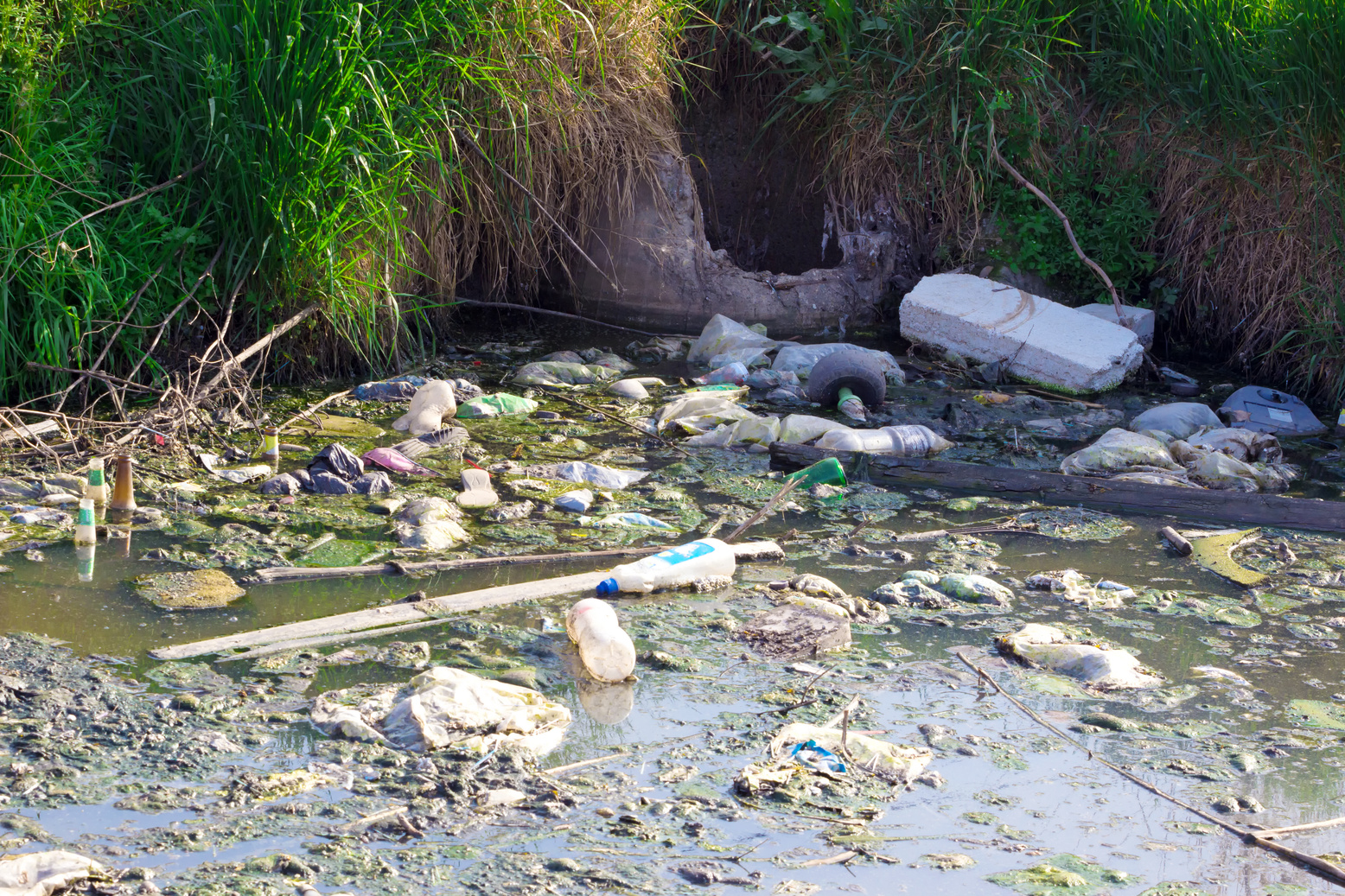 Plastic litter along a riverbank