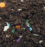Plastic fragments mixed into soil